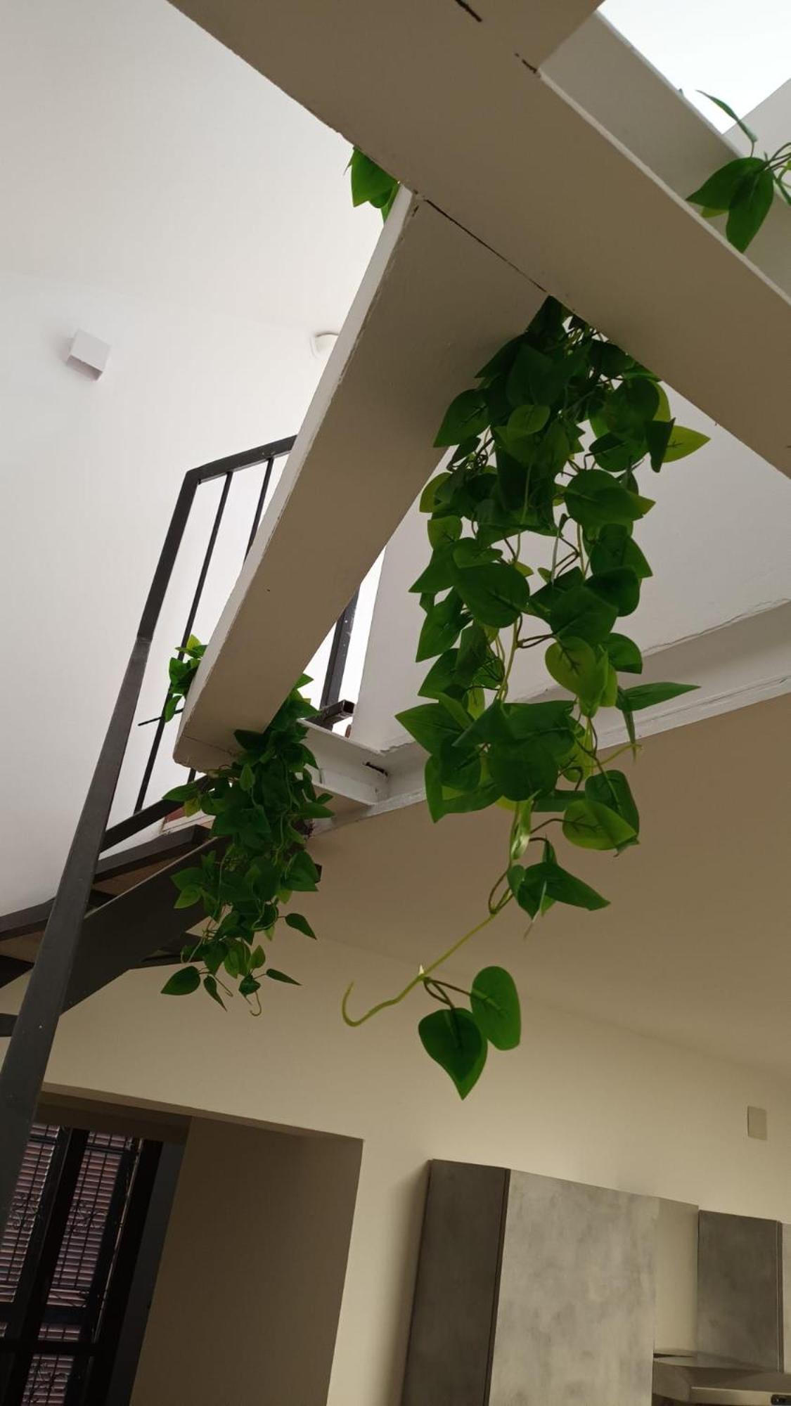 Apartmán Casa N 1 Con Parcheggio Privato E Colonnina Ricarica Livorno Exteriér fotografie